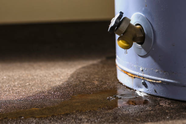 Best Flooded house restoration  in Palestine, TX