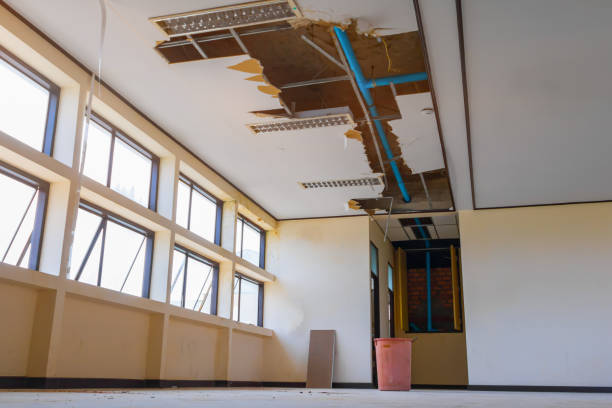 Best Professional water damage repair  in Palestine, TX