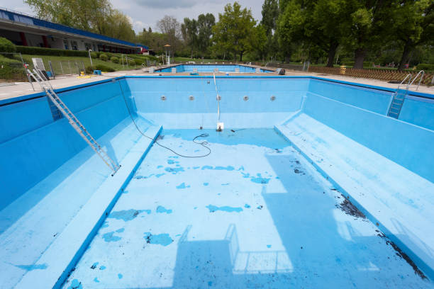 Best Water damage restoration specialists  in Palestine, TX
