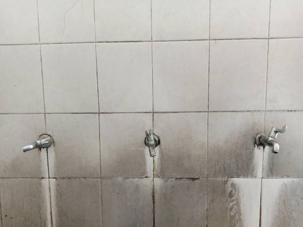Best Commercial water damage restoration  in Palestine, TX